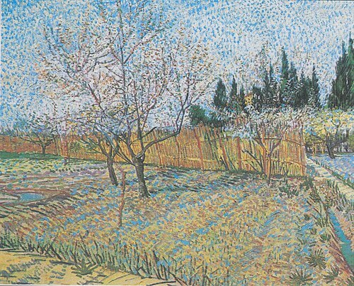 Verger avec cyprès
