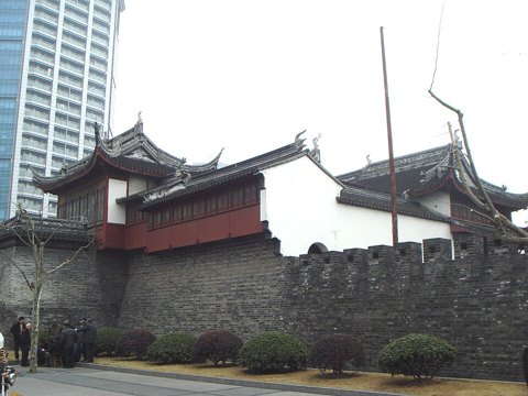 대정개붕대